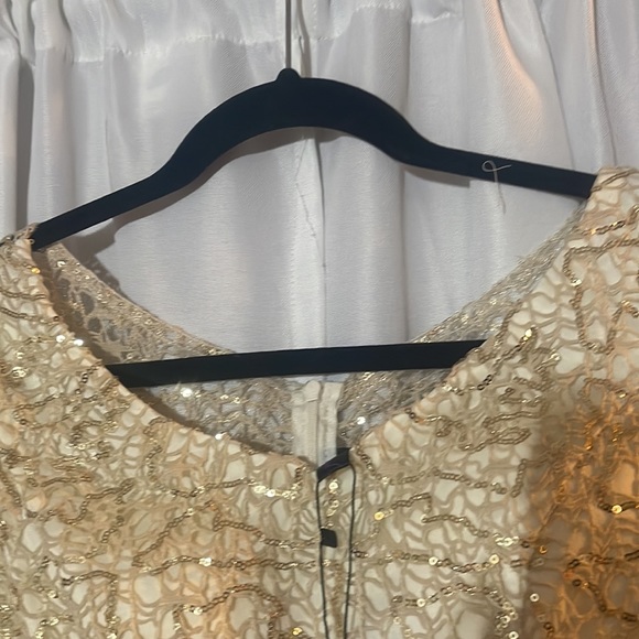 New with tags cream evening gown with champagne gold sequined overlay lace. - Picture 4 of 13